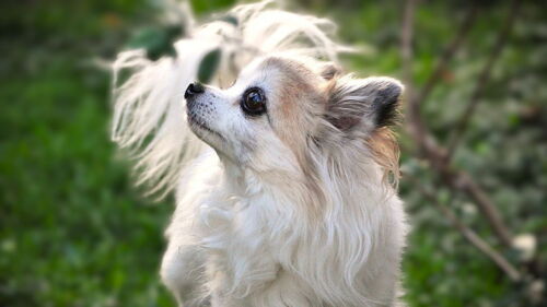 Seniorentreff: Fit & munter im Alter